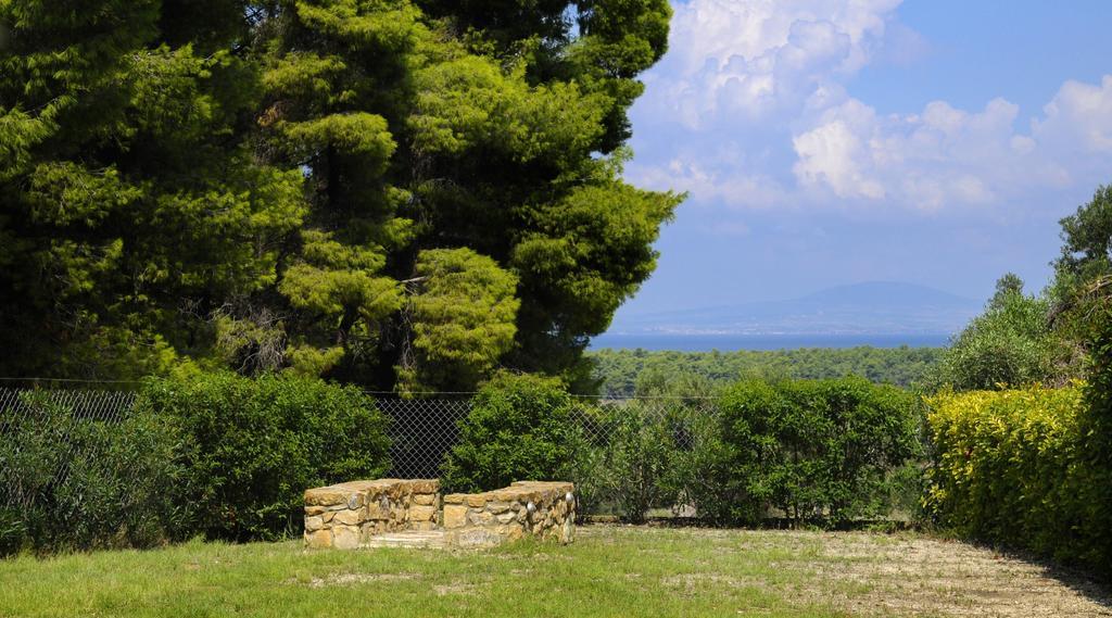 Olivos Villa Sani Sani  Pokoj fotografie